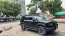 COMBAT RIDER哈佛一代大狗車(chē)頂行李架爬梯探險(xiǎn)家戶外露營(yíng)越野改裝件車(chē)頂平臺(tái) 哈弗一代大狗【車(chē)頂平臺(tái)+爬梯】 曬單實(shí)拍圖