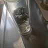 御興特級(jí)安吉白茶2025年新茶 明前綠茶黃金芽黃金葉 茶葉送禮250g 曬單實(shí)拍圖