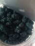 聚和泰新疆大果頭茬桑葚干特級黑桑甚子即食桑椹干無(wú)沙泡水泡酒料中藥材 【新貨上市】桑葚干250克 曬單實(shí)拍圖