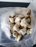 初鮮大號冷凍帶黃扇貝肉凈重2斤約80-120顆燒烤火鍋食材海鮮水產(chǎn)聚餐 曬單實拍圖