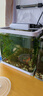 初迪魚(yú)缸客廳小型創(chuàng  )意金魚(yú)缸玻璃家用懶人造景免換水生態(tài)自循環(huán)水族箱 240標配裸缸【長(cháng)23.7CM】帶大禮包 曬單實(shí)拍圖