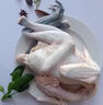 正宗黑鳳雞青腳雞新鮮現(xiàn)殺土雞散養(yǎng)母雞煲湯滋補走地雞大公雞整只 當(dāng)天現(xiàn)殺/每只保留（雞心肝胗） 2只(黑風(fēng)母雞)凈重4.5-5.6斤 曬單實拍圖