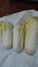 【超市品質(zhì)】新鮮精品娃娃菜現(xiàn)砍現(xiàn)發(fā)小包裝新鮮蔬菜生鮮產(chǎn)地直發(fā) 新鮮娃娃菜1*(3棵)*1包 曬單實(shí)拍圖