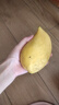 廣西金煌芒新鮮進口水果當(dāng)季熱帶大青皮芒果整箱批發(fā)送禮品物盒 凈重2斤裝 【一人食】 甄選特級果【單果300g+】 曬單實拍圖