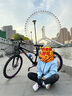 西騎者（WestBiking）夏季騎行護(hù)膝防曬冰絲腿套護(hù)腿運(yùn)動(dòng)護(hù)膝護(hù)腿一對(duì)裝  M 曬單實(shí)拍圖