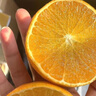 榮剛四川愛(ài)媛38號果凍橙青見(jiàn)橙子新鮮應季水果柑橘手剝甜橙子產(chǎn)地直發(fā) 凈重4.5斤【果王80mm-90mm】 曬單實(shí)拍圖