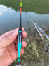 小鳳仙高亮夜光漂L-DL咬鉤變色浮漂日夜兩用高靈敏魚漂醒目野釣電子漂 曬單實拍圖