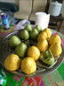 手工薺菜窩窩頭早餐速凍綠色營(yíng)養(yǎng)食品配雜糧野菜代餐五谷雜糧窩頭 薺菜窩窩頭10個(gè)裝 曬單實(shí)拍圖