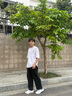 安踏男鞋運動鞋夏季新款跑步鞋男士鞋子透氣網(wǎng)面輕便軟底休閑訓(xùn)練鞋 白/灰/墨水藍(lán)-2【夏季網(wǎng)面透氣】 42 曬單實拍圖