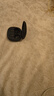 JBL T280TWS X3 真無線藍(lán)牙耳機(jī) 半入耳式音樂通話降噪防水防汗 國家補(bǔ)貼 游戲耳麥教師節(jié)禮物 黑色 曬單實(shí)拍圖