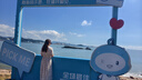 絲柏舍V領(lǐng)連衣裙2025夏裝新女裝時(shí)尚優(yōu)雅泡泡袖印花氣質(zhì)中長(cháng)裙 曬單實(shí)拍圖