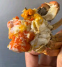 【活蟹】漁家師傅大閘蟹全母3.0-3.3兩8只去繩足重鮮活螃蟹現貨生鮮水產(chǎn)海鮮禮盒 曬單實(shí)拍圖