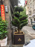 不銹鋼花箱定制戶外花壇移動樹池組合售樓部商場種植箱商業(yè)街隔斷 60*60*60cm不銹鋼 曬單實拍圖