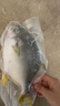 翔泰海南深海金鯧魚(yú)700g 2條 火鍋 生鮮魚(yú)類(lèi) BAP認證 海鮮水產(chǎn) 中秋 曬單實(shí)拍圖