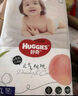 好奇（Huggies） 鉑金裝拉拉褲 嬰兒成長褲輕薄透氣小桃褲尿不濕 XL64片【12-17kg】 曬單實拍圖