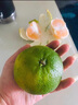 綠食語 新鮮現(xiàn)摘云南青皮橘子 蜜桔子 3斤應(yīng)季當(dāng)季孕婦水果青綠皮蜜橘 蜜桔 3斤裝 曬單實(shí)拍圖