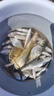 龍王恨（LOONVA） 魚餌老三樣套餐919藍(lán)鯽腥香大野戰(zhàn)拉絲粉野釣鯽鯉草青魚食餌料 藍(lán)鯽+918腥+小速攻+拉絲粉 曬單實拍圖