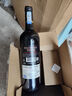 CANIS FAMILIARIS布多格法國原瓶進口紅酒 寶塔干紅葡萄酒 750ml*6瓶婚宴整箱裝 曬單實拍圖