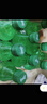 可口可樂（Coca-Cola）雪碧 Sprite 檸檬味 汽水 碳酸飲料 500ml*24瓶 整箱裝 曬單實(shí)拍圖