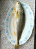 繽鮮 大黃魚(yú)禮盒寧德深海半野生超大黃花魚(yú)海鮮 高端海鮮禮盒送禮整箱 1-1.2斤*2條禮盒【送禮首選】?jì)糁?曬單實(shí)拍圖