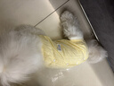 MIKI PAD狗狗絕育服手術(shù)服狗狗衣服春夏季薄款包護肚衣公狗母狗術(shù)后防舔 背心護肚衣-黃色#可做絕育服 M+ 胸圍42背長(cháng)32（建議8-10斤 曬單實(shí)拍圖