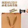 NVV 10個(gè)裝牛皮紙袋禮物包裝袋商務(wù)會(huì )議伴手禮手提袋茶葉手提袋紙袋子NB-H27821 曬單實(shí)拍圖