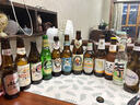 ERGOUPUB全球24精釀啤酒組合裝 白啤/IPA/修道院/黑啤/果啤 比利時/德國等 24瓶 全球精釀-經(jīng)典版 曬單實拍圖