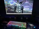 華碩 9800x3d主機(jī) RTX5070ti 顯卡主機(jī) 5080 華碩rog全家桶 5070主機(jī)DIY游戲臺(tái)式組裝電腦補(bǔ)貼整機(jī) R7 9800X3D+RTX5070ti丨四 曬單實(shí)拍圖