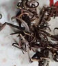 北京同仁堂原料鉤藤中藥材現(xiàn)磨鷹爪丁勾風(fēng)屯粉特級(jí)品質(zhì)克送量 純正鉤藤粉50克試用裝 曬單實(shí)拍圖