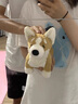 JELLYCAT英貝蒂小柯基犬掛件鑰匙扣毛絨小狗玩偶可愛書包掛飾 貝蒂柯基掛 貝蒂柯基掛 曬單實拍圖
