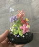 百里霜積木花束小顆粒積木拼裝玩具永生花教師節禮物春花爛漫 曬單實(shí)拍圖