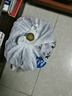 湛江正宗小葉簕竹禪意勒竹子苗盆栽老樁庭院寧可食無肉不可居無竹 福利小小樁 裸根不帶葉子不含盆 曬單實拍圖