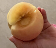 京地達無(wú)錫陽(yáng)山水蜜桃正宗凈重8斤單果250g+ 桃子應季現貨源頭直發(fā)包郵 曬單實(shí)拍圖