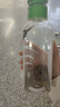 甄現(xiàn)現(xiàn)泡茶信陽毛尖茉莉花紅茶原葉丹江口好水冷水現(xiàn)泡茶出行便攜裝 信陽毛尖現(xiàn)泡茶 500ml*9瓶*2箱 曬單實拍圖