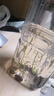 碗蓮種子水培花卉植物四季開花盆栽室內(nèi)水生水養(yǎng)易活睡蓮荷花種子 成活100%【10-13大粒開口混色】 曬單實(shí)拍圖