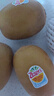 佳沛（zespri）新西蘭  陽光金奇異果10粒禮盒巨大果單果約144-175g 水果 獼猴桃 曬單實拍圖