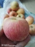 沂蒙山旮旯沂源紅蘋(píng)果富士蘋(píng)果綠色食品認證脆甜多汁山泉灌溉辦公家居零食 沂源紅蘋(píng)果70#-75# 4.5-5斤(凈重4.5斤) 曬單實(shí)拍圖