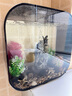 biOrb30L生態(tài)造景魚缸桌面小型創(chuàng)意水族箱客廳書房辦公室展示個性擺件 黑缸MCR燈+圖片造景3 曬單實拍圖