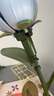 若客（ROKR）花間集綻放綺夢(mèng) 積木花束動(dòng)態(tài)永生花diy手工拼裝玩具生日禮物創(chuàng  )意 曬單實(shí)拍圖
