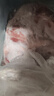 牛腱子新鮮】原切黃牛肉散養(yǎng)生牛肉鮮牛肉不調(diào)理健身商用冷凍 散養(yǎng)黃牛腱子肉5斤 順豐快遞-送料包 曬單實(shí)拍圖