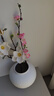 川燁小格調(diào)單枝桃花仿真花日式室內(nèi)餐桌花藝裝飾插花假花客廳擺設(shè)干花 淡粉/枝 曬單實(shí)拍圖
