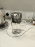 蘇泊爾（SUPOR）雙層玻璃杯茶杯高硼硅男士商務(wù)水杯帶把辦公泡茶大容量商務(wù)辦公男 流光銀570ML【雙層防燙 贈(zèng)茶濾】 曬單實(shí)拍圖