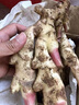 嫩姜新鮮仔姜子姜山東紅芽生姜四川指頭姜非云南小黃姜老醋鮮姜 帶箱 2斤 現(xiàn)挖現(xiàn)發(fā) 曬單實拍圖