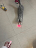 JCZS德國(guó)品牌逗貓激光筆不傷眼貓充電激光燈貓玩具貓咪小貓激光筆逗貓 粉色(USB充電款) 曬單實(shí)拍圖