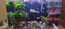 魚(yú)缸背景貼紙缸外靜電水族箱專用純黑色背景壁紙玻璃底部裝飾貼膜 魚(yú)缸背景貼【靜電無(wú)膠款】贈(zèng)工具 30厘米寬1米長(zhǎng) 曬單實(shí)拍圖