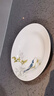 Gao Chun Ceramics高淳陶瓷 手繪骨瓷餐具套裝家用簡約餐具米飯碗碟盤碟碗送禮套裝 8英寸平口湯盤 曬單實拍圖