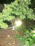 輕享奢LED頭燈強光戶外可充電遠射防水手電筒超亮頭戴式超長續(xù)航礦燈 特爆亮激光炮-正品-質(zhì)保十年 188W宇宙款【999000K】待續(xù)999天 曬單實拍圖