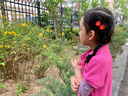 戴維貝拉女童裙子兒童連衣裙夏裝女大童網(wǎng)球裙夏季Polo裙運動 曬單實拍圖