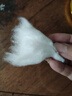 維喆醫(yī)用脫脂棉卷產(chǎn)后嬰兒清潔傷口護(hù)理大包無菌傷口消毒藥棉不掉絮 棉卷 甲級500克 (柔軟觸感)＋鑷子 曬單實(shí)拍圖