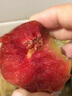 正宗浙江嵊州金庭桃形李江南名果特產(chǎn)紅心脆甜自產(chǎn)銷精品大果順豐 0g 40-50g1盒20枚【禮盒精品】 曬單實(shí)拍圖